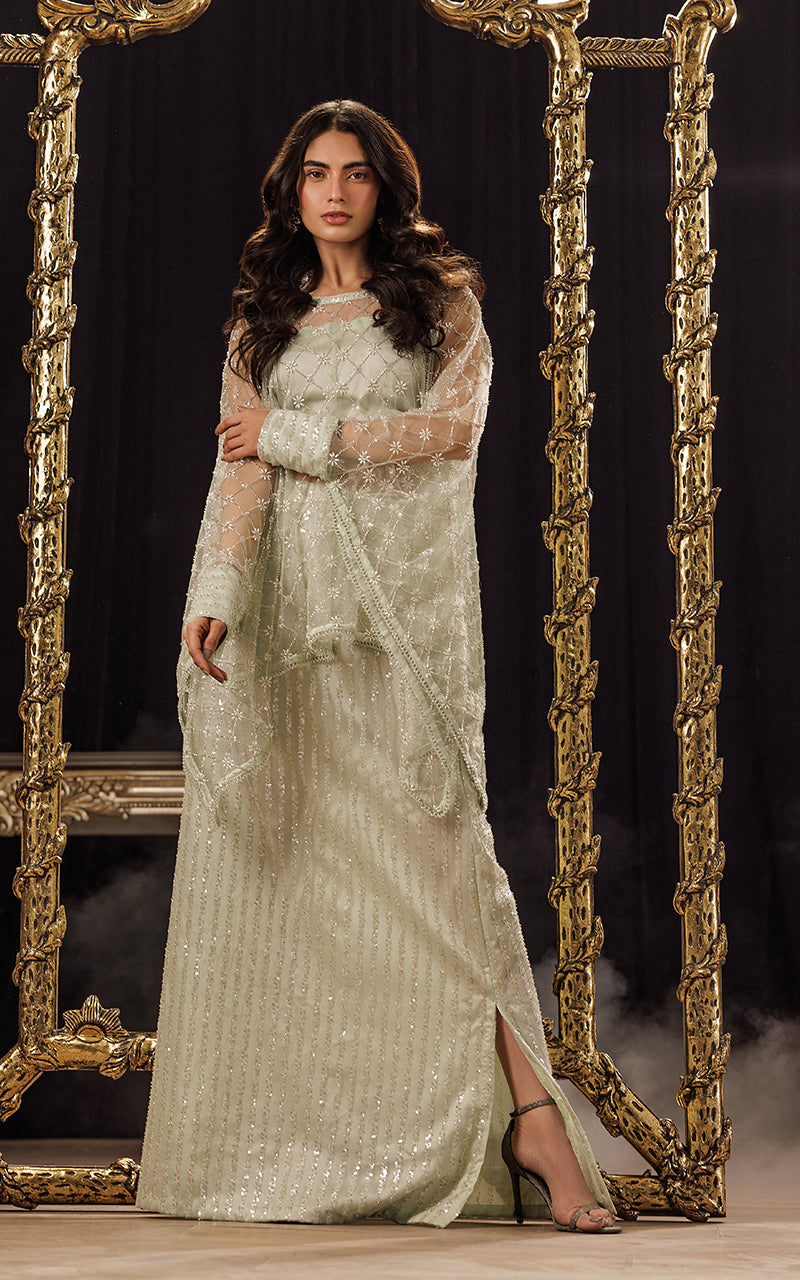Threads and Motifs | Formal Dresses 25 | Net Embroidered Cape With Tube And Skirt - Ladies Clothes - Maria Faisal