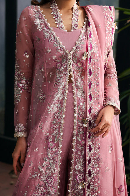 Afrozeh | La Fuschia 25 | Seraira