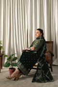 Neeshay | Ready to Wear Chiffon | RTW-CHFN-04 Green - Ladies Clothes - Maria Faisal