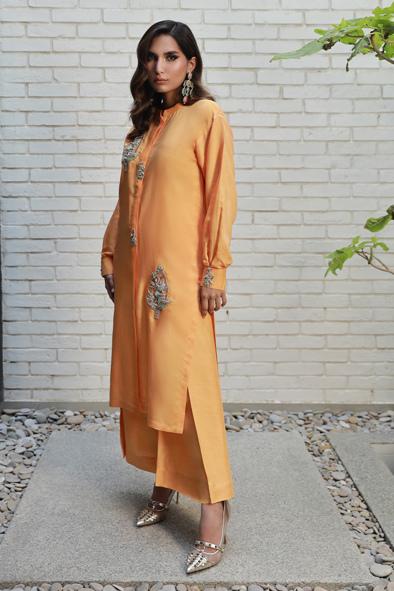 Wardha Saleem | Luxury Pret Traditional Wear | ARZA - Ladies Clothes 