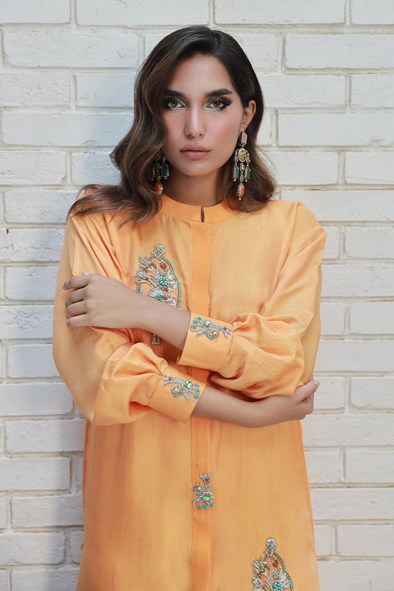 Wardha Saleem | Luxury Pret Traditional Wear | ARZA - Ladies Clothes 