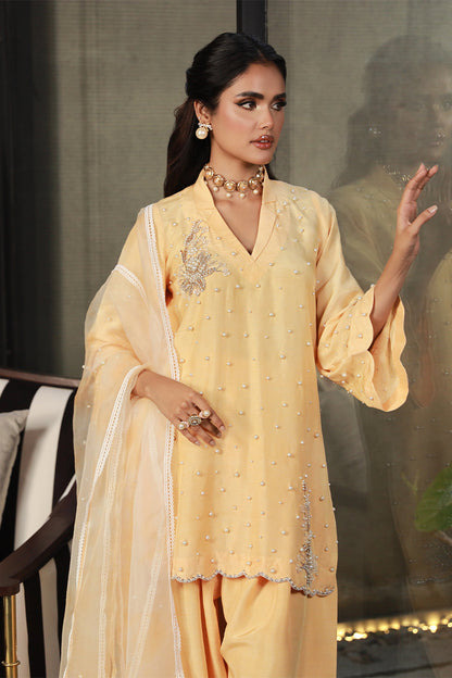 Wardha Saleem | Luxury Pret Traditional Wear | ZARIA - Ladies Clothes 