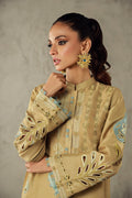 Wardha Saleem | Luxury Pret Traditional Wear | AMANI - Ladies Clothes 