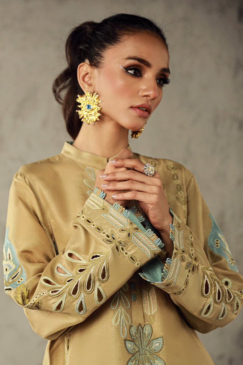 Wardha Saleem | Luxury Pret Traditional Wear | AMANI - Ladies Clothes 