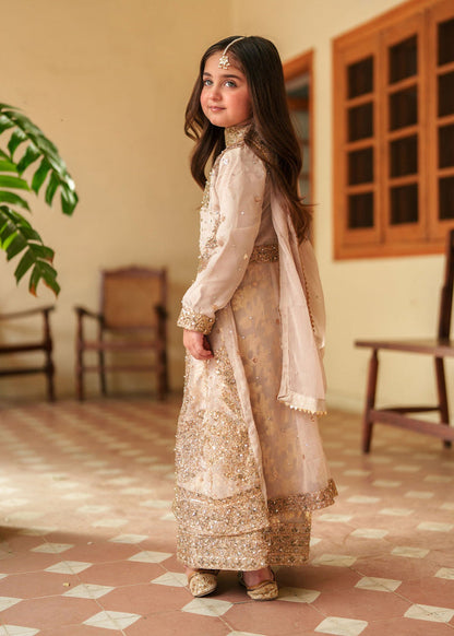 Haseens Kids | Kids Clothing | 3 Piece Embroidered Chiffon Suit