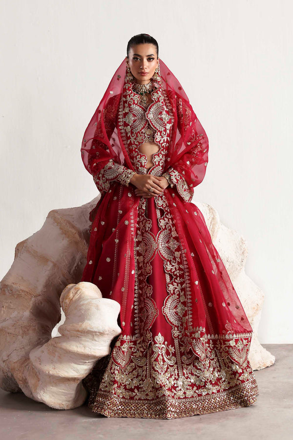 Rouge – authentic Pakistani dress from the Luxury Formals 25 collection for women in the UK