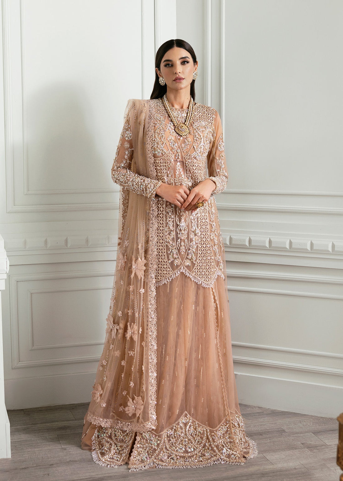 Crimson | A Beautiful Chaos Wedding Collection | Stardust - Designer Dress with Intricate embroidery and embellishments. Shop elegent wedding dress at Maria Faisal.