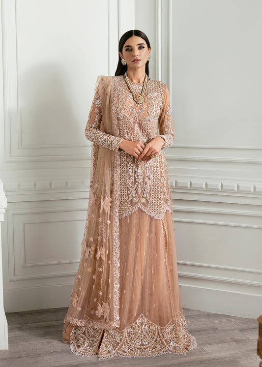Crimson | A Beautiful Chaos Wedding Collection | Stardust - Ladies Clothes - Maria Faisal