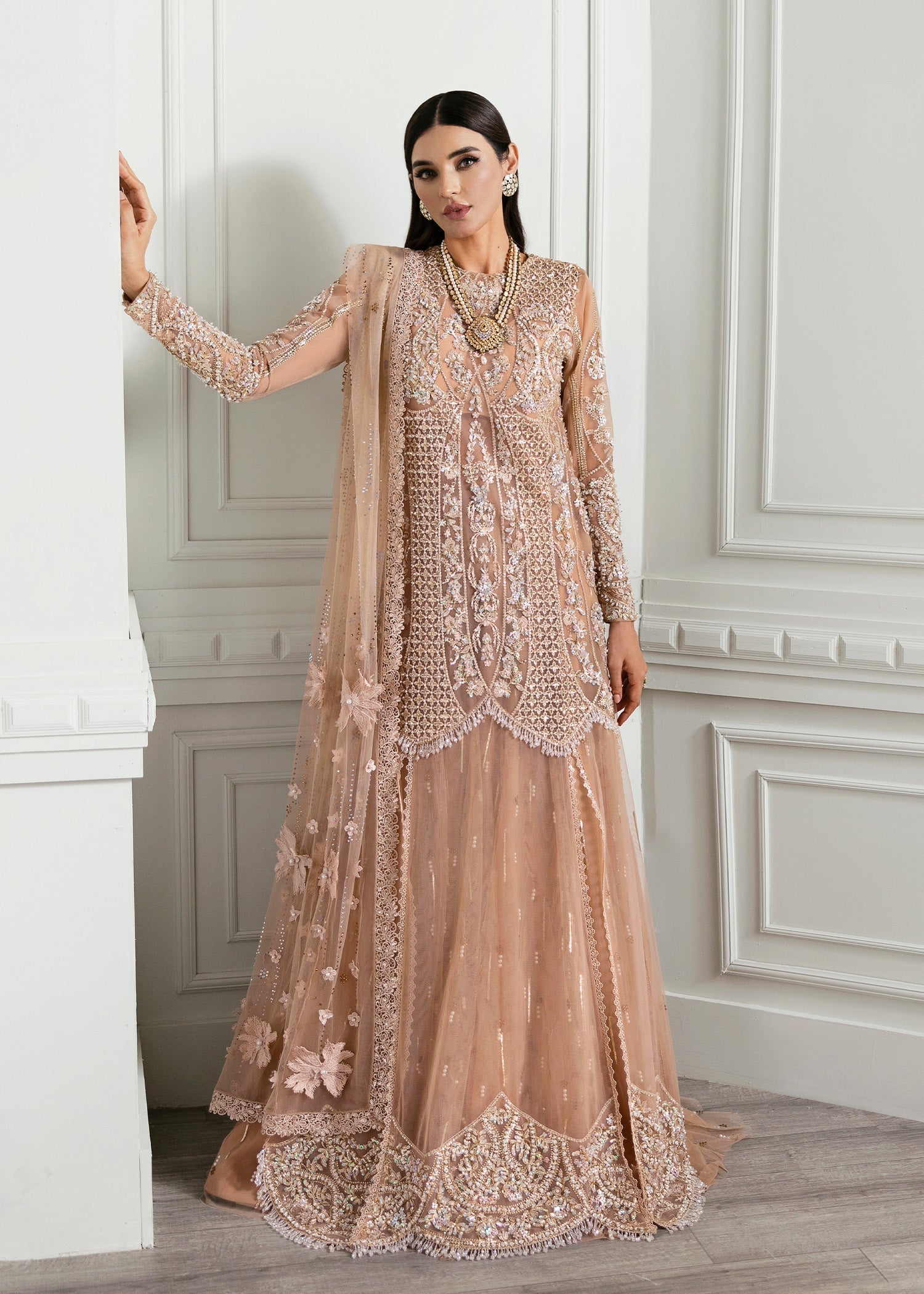 Crimson | A Beautiful Chaos Wedding Collection | Stardust - Designer Dress with Intricate embroidery and embellishments. Shop elegent wedding dress at Maria Faisal.