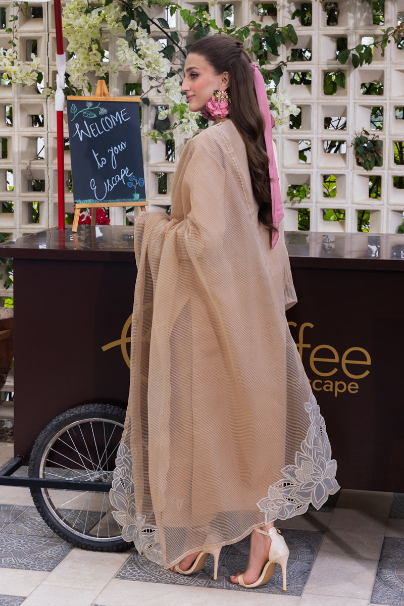 Rangrasiya | Carnation Luxury Festive Edit 25 | Kaia by Maria Faisal - Registered Vendor of : Rangrasiya - type : Ladies Clothes - 100% original wedding dresses