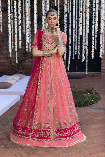 Rangrasiya | Wedding Formals 25 | Narmeen - Ladies Clothes - Maria Faisal
