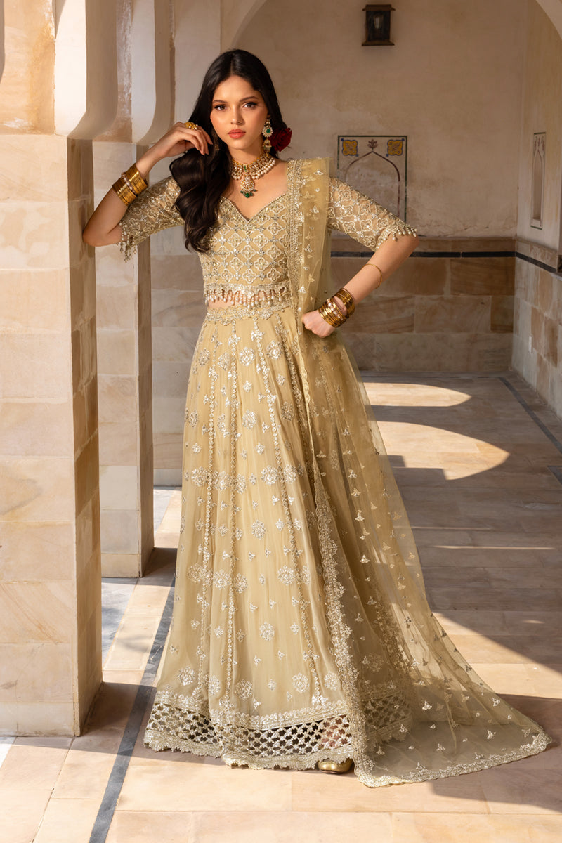 Rangrasiya | Chiffon Formals | Zaiena - Formal Dress - available at Maria Faisal in UK and USA.