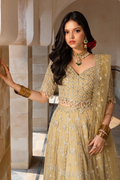 Rangrasiya | Chiffon Formals | Zaiena - Formal Dress - available at Maria Faisal in UK and USA.