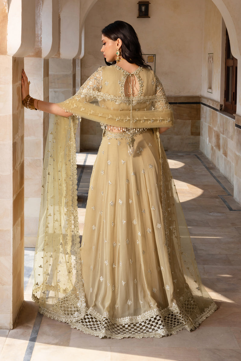 Rangrasiya | Chiffon Formals | Zaiena - Formal Dress - available at Maria Faisal in UK and USA.