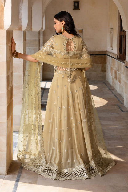 Rangrasiya | Chiffon Formals | Zaiena - Formal Dress - available at Maria Faisal in UK and USA.