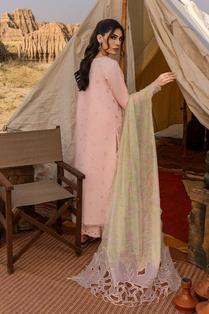 Rangrasiya | Premium Eid Edit 25 | Nehal by Maria Faisal - Registered Vendor of : Rangrasiya - type : Ladies Clothes - 100% original wedding dresses