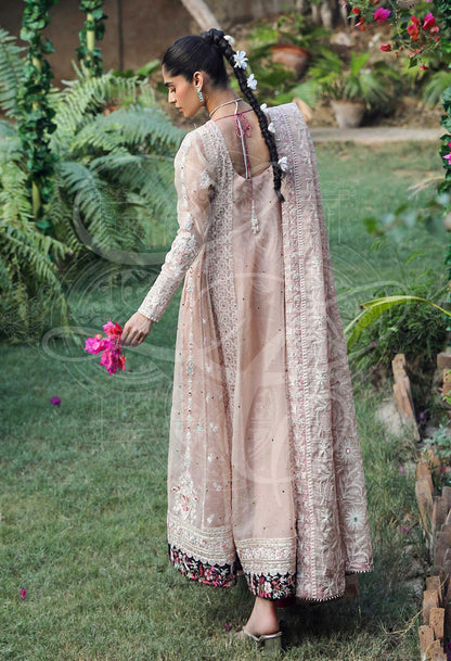 Layla Chatoor | Luxury Pret | Amani - Luxury Dress - available at Maria Faisal in UK and USA.