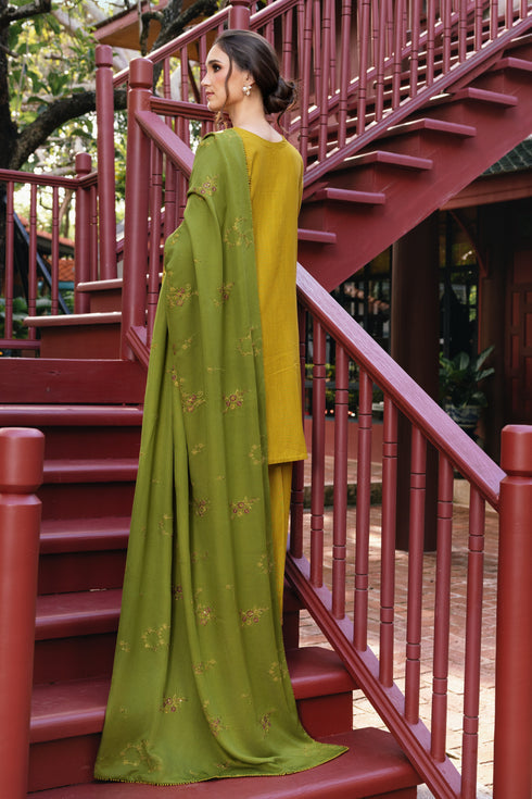 Naqshi | Nuri Khaddar Velvet Marina | Shanara - Luxury Dress - available at Maria Faisal in UK and USA.