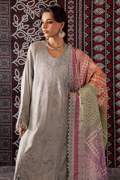 NE-207 – authentic Pakistani dress from the Bazaar Luxe 25 collection for women in the UK