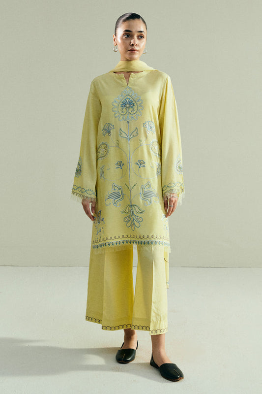 Zara Shahjahan | Pret 26 | CR25P0963A - Luxury Dress - available at Maria Faisal in UK and USA.