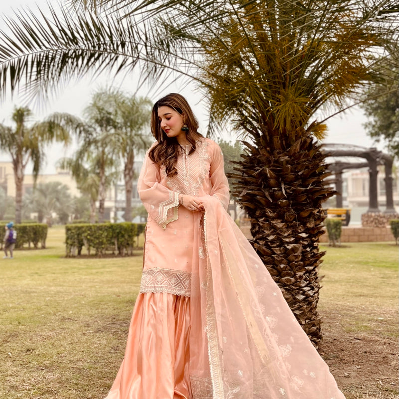 Daud Abbas | Formals Collection | Zaira - Waniyas