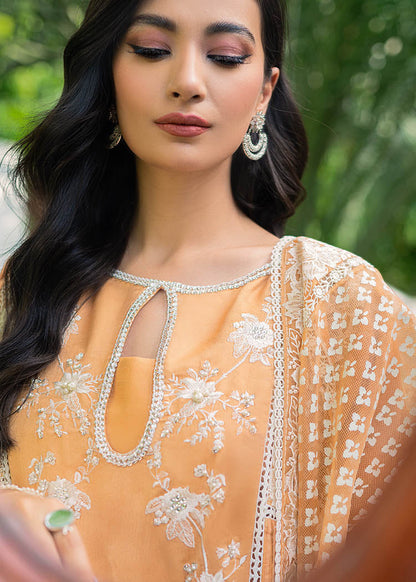 Saira Shakira | Luxury Pret | Wallflower