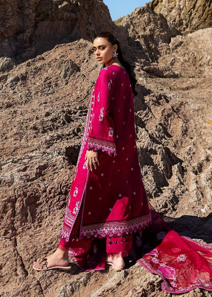 Akbar Aslam | Mare Lawn Edit 25 | Nirvana by Maria Faisal - Registered Vendor of : Akbar Aslam - type : Ladies Clothes - 100% original wedding dresses
