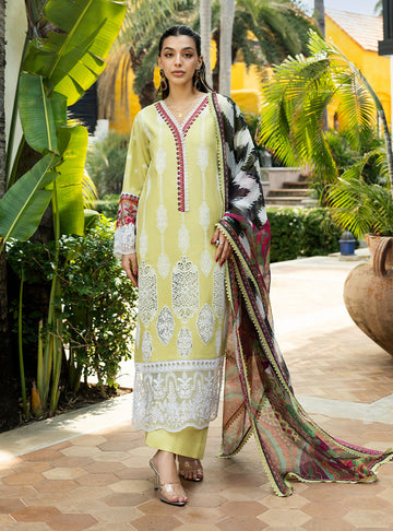 Zainab Chottani | Chikankari 25 | Rayne - 12A