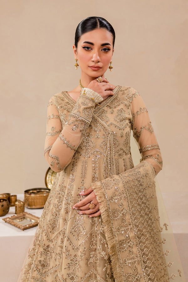 Farasha | Lumiere Formals | DREAMT FLAIR - Designer Dress with Intricate embroidery and embellishments. Shop elegent wedding dress at Maria Faisal.