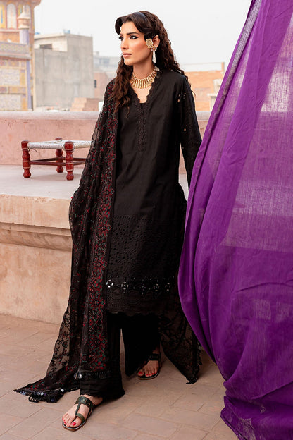 Nureh | Lawn Jacquard | NS-80 - Ladies Clothes 