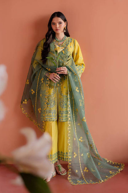 Batik | Aylin Festive Solids | Zane by Maria Faisal - Registered Vendor of : Batik - type : Ladies Clothes - 100% original wedding dresses