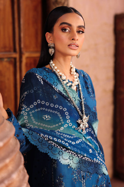 NE-160 – authentic Pakistani dress from the Bazaar Luxe 25 collection for women in the UK