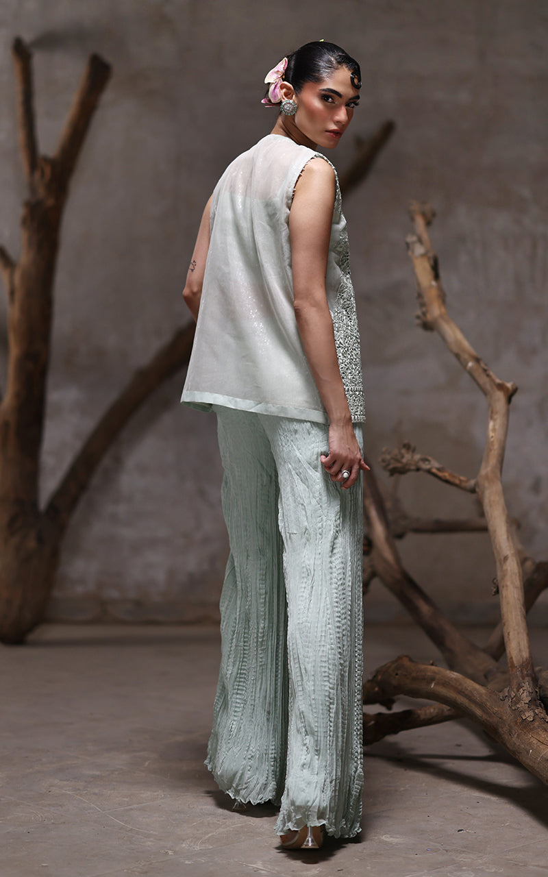 Threads and Motifs | Formal Dresses 25 | Organza Embroidered Jacket With Crushed Trouser