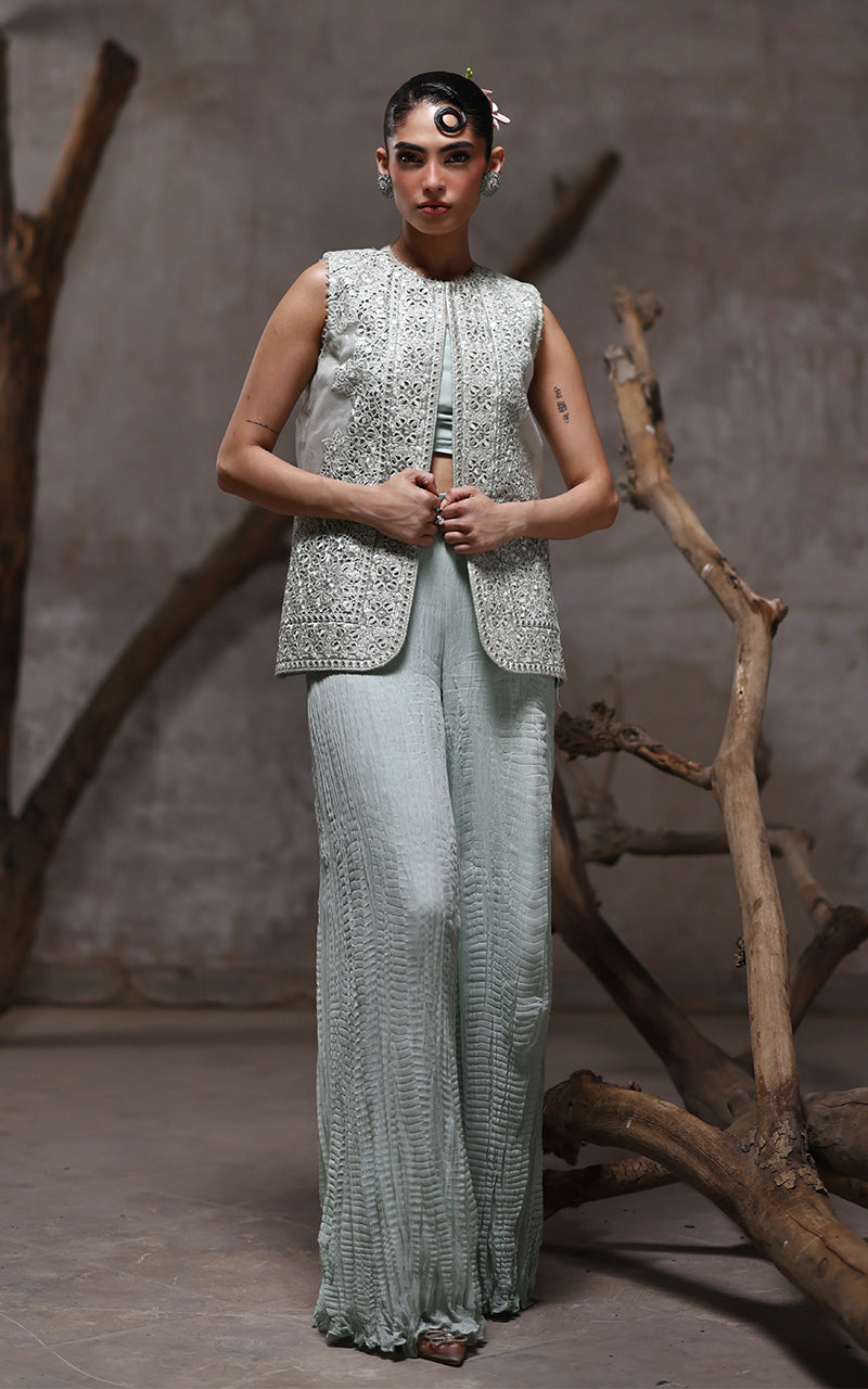 Threads and Motifs | Formal Dresses 25 | Organza Embroidered Jacket With Crushed Trouser - Ladies Clothes - Maria Faisal