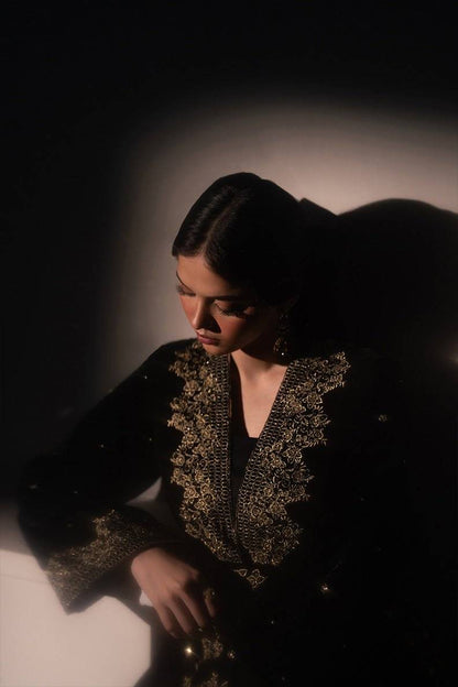 Caia | Luxury Velvet Edit 25 | Diana by Maria Faisal - Registered Vendor of : Caia - type : Ladies Clothes - 100% original wedding dresses