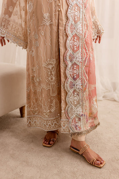 Nureh | Fancy Formals | NP-509 - Ladies Clothes - Maria Faisal