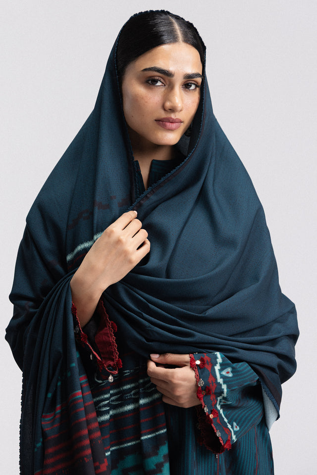Zara ShahJahan | Coco Prints Winter 26 | Leela-10B - Luxury Dress - available at Maria Faisal in UK and USA.