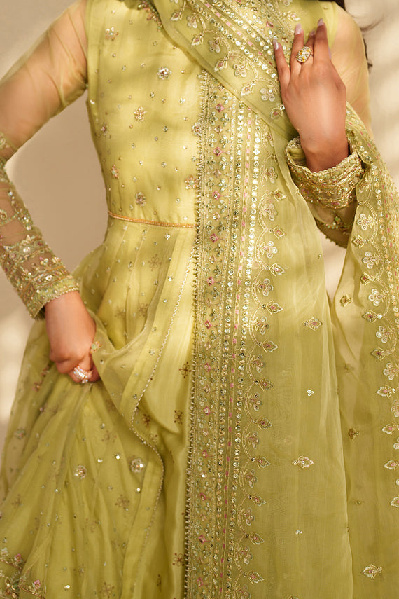 Naqshi | Feemora Organza Raw Silk | Zeesha - Formal Dress - available at Maria Faisal in UK and USA.