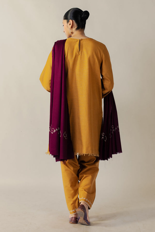 Zara Shahjahan | Pret 26 | Ochra - Luxury Dress - available at Maria Faisal in UK and USA.