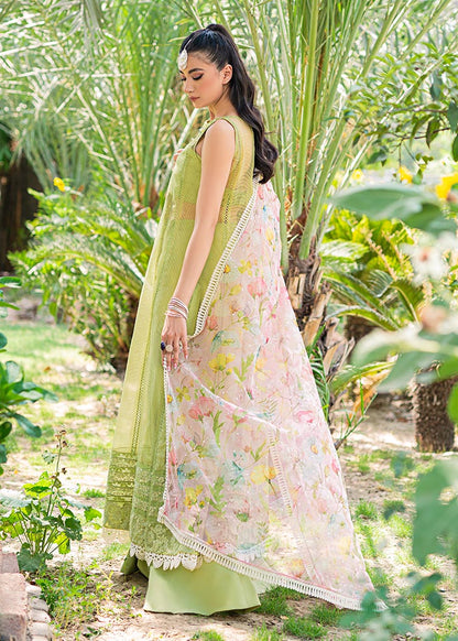 Saira Shakira | Luxury Pret | Wild Rye