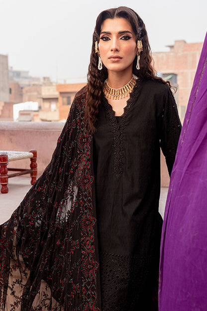 Nureh | Lawn Jacquard | NS-80 - Ladies Clothes 