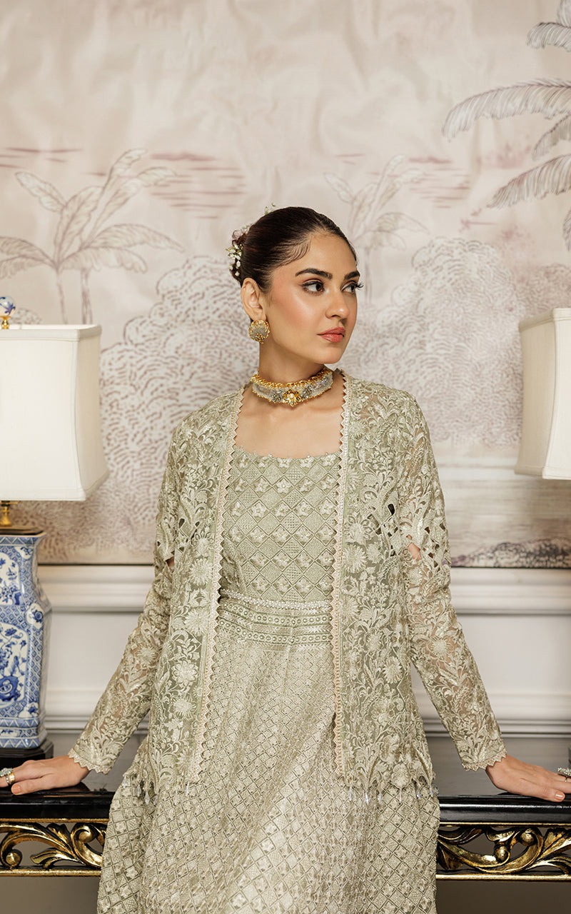 Threads and Motifs | Formal Dresses 25 | Organza Embroidered Maxi With Jacket