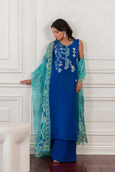 Mina Hasan | Eid ul Adha 26 | Najma - Luxury Dress - available at Maria Faisal in UK and USA.