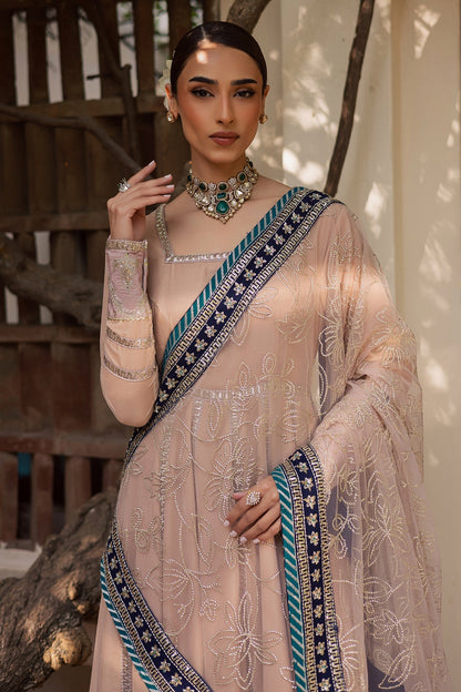 NW-117 – authentic Pakistani dress from the Maya Velvet collection for women in the UK