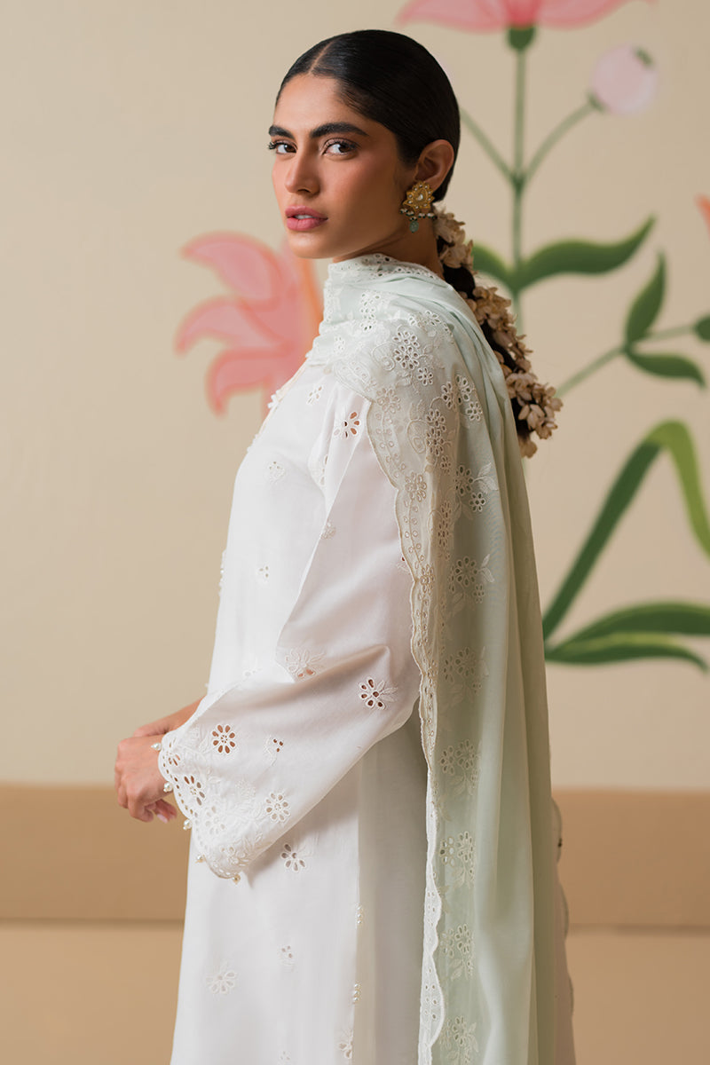 Cross Stitch | Chikankari Lawn Collection | P-06 - Maria Faisal