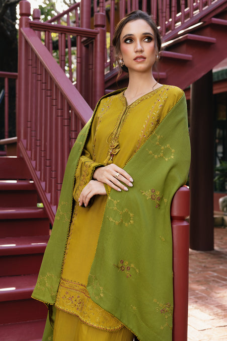 Naqshi | Nuri Khaddar Velvet Marina | Shanara - Luxury Dress - available at Maria Faisal in UK and USA.