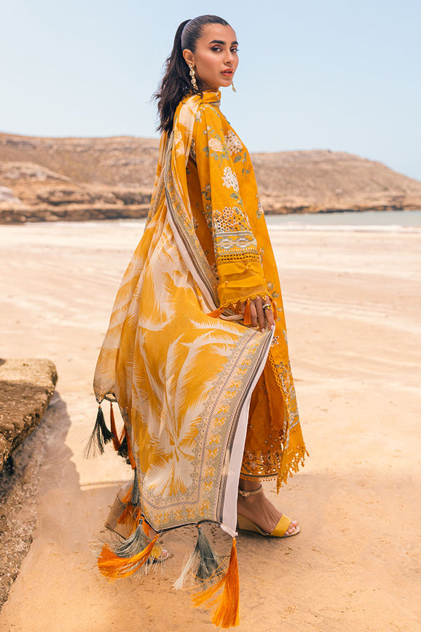 Nureh | Gardenia 25 | NSG-106 - Ladies Clothes - Maria Faisal