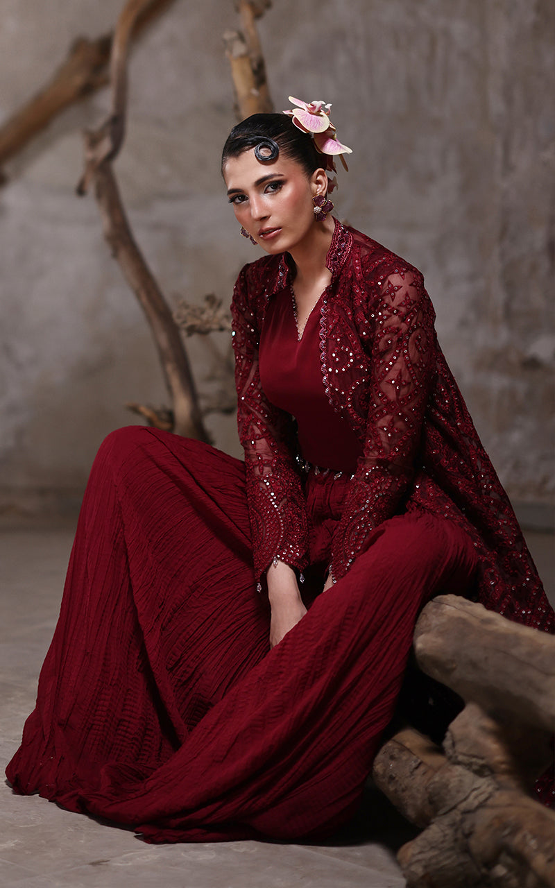 Threads and Motifs | Formal Dresses 25 | Organza Jacket With Crushed Trouser