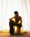 Vasal | Zyra Luxe Pret 26 | Golden Dusk - Ladies Clothes - Maria Faisal