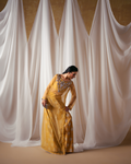 Vasal | Zyra Luxe Pret 26 | Golden Dusk - Ladies Clothes - Maria Faisal